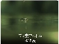 実績２