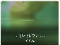 実績４