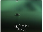 実績５